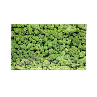 Tava de rulat 'V-SYNDICATE' din sticla | Buds - 16x25cm